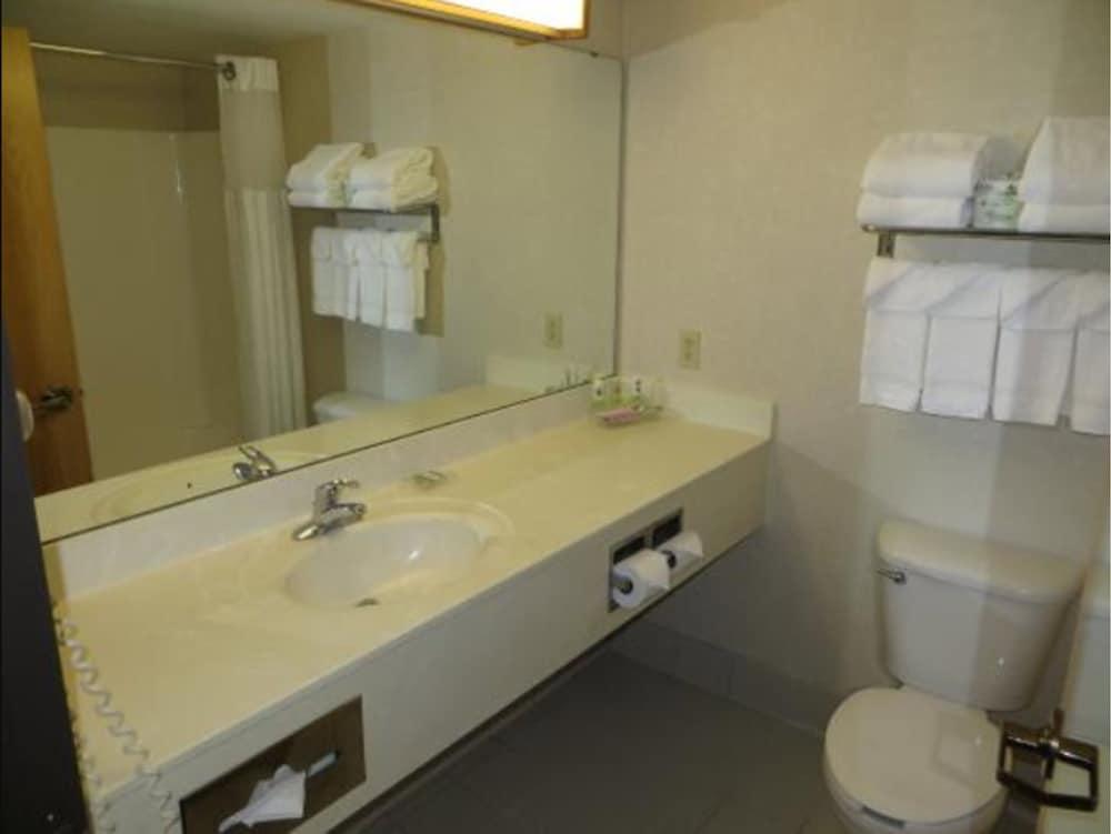 Country Inn & Suites By Radisson, Lansing, Mi Buitenkant foto